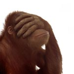 Monkeycage