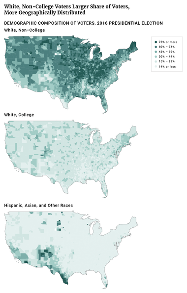 White, Non-College Voters