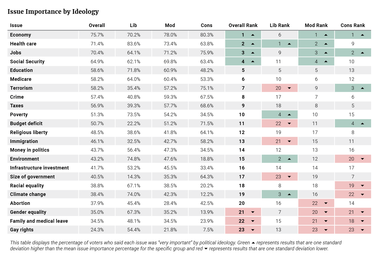 Issue Importance by Ideology