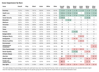 Issue Importance by Race