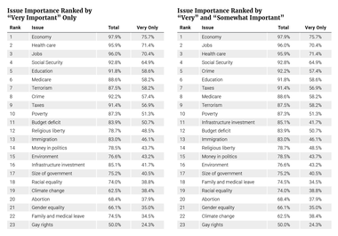 Issue Importance Ranked by "Very Important" and "Somewhat Important"