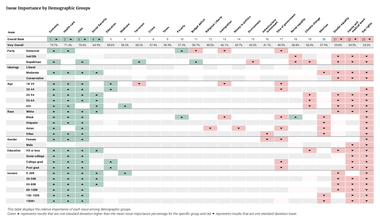 Issue Importance by Demographic Groups