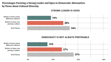 Percentages Favoring a Strong Leader and Open to Democratic Alternatives by Views about Cultural Diversity